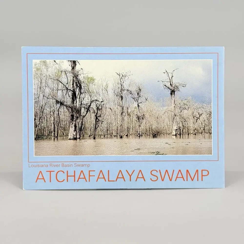 6 Unused Blank Louisiana Vintage Postcards Lot 4 Lake Bistineau Atchafalaya
